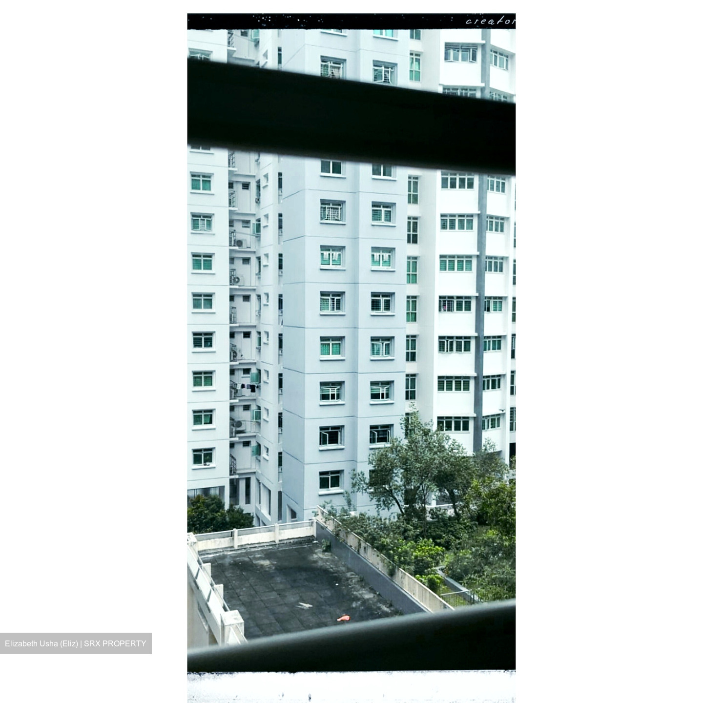 Blk 384 Bukit Batok West Avenue 5 (Bukit Batok), HDB 5 Rooms #595755581